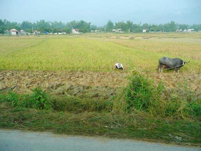 Urlaub in Vietnam 2007